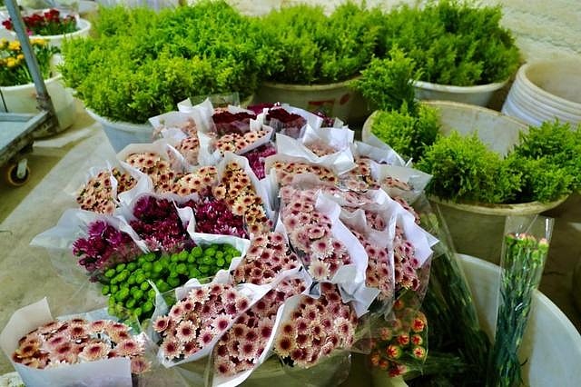 在拼多多上搬走云南的春天-科记汇