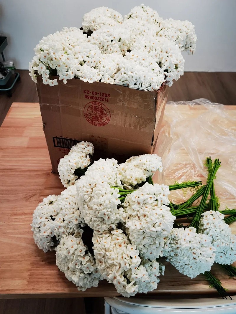 一群被困住的女性，织出永不凋谢的冬奥花束-科记汇