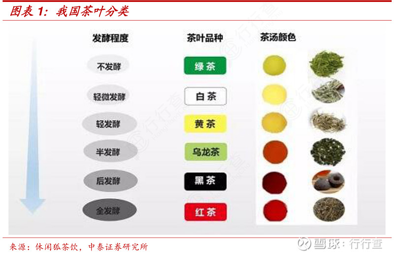 茶葉峨眉23萬畝春茶開採茶農搶抓新春第一桶金