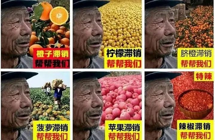 我最近在劝基金圈的人听梁静茹 你也知道,最近基金滞销了,嗯,就是这样