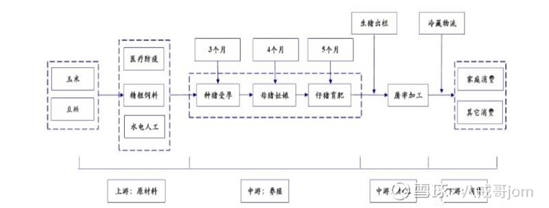 生猪养殖和猪周期情况