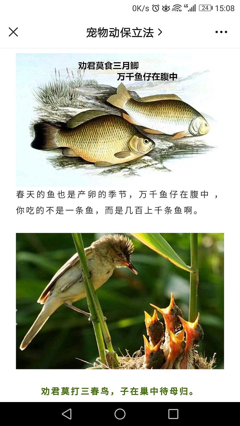 劝君莫食三月鲫图片图片