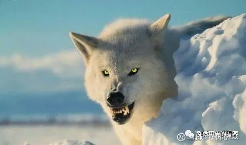 如何发现k线中的杀气