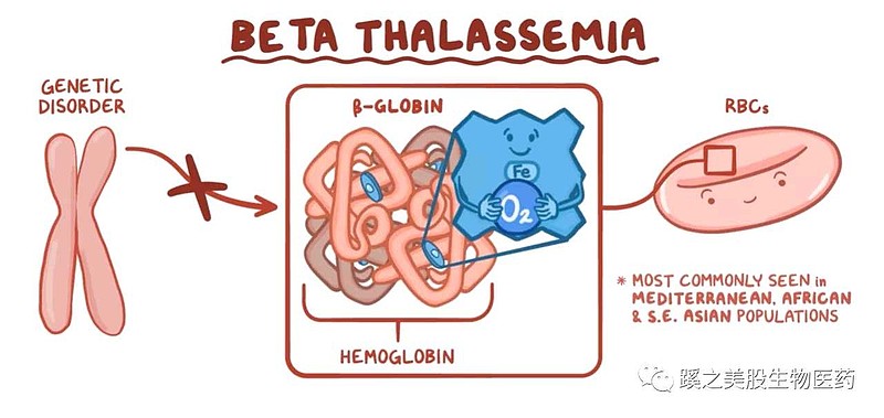 bluebirdbio慢病毒及基因编辑技术领先者