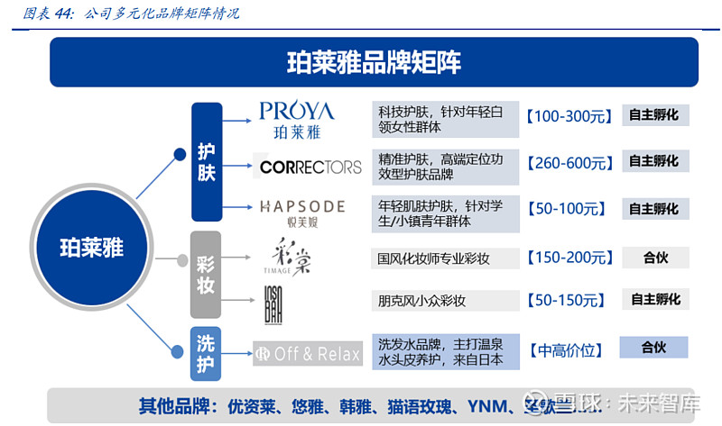 珀莱雅组织架构图片