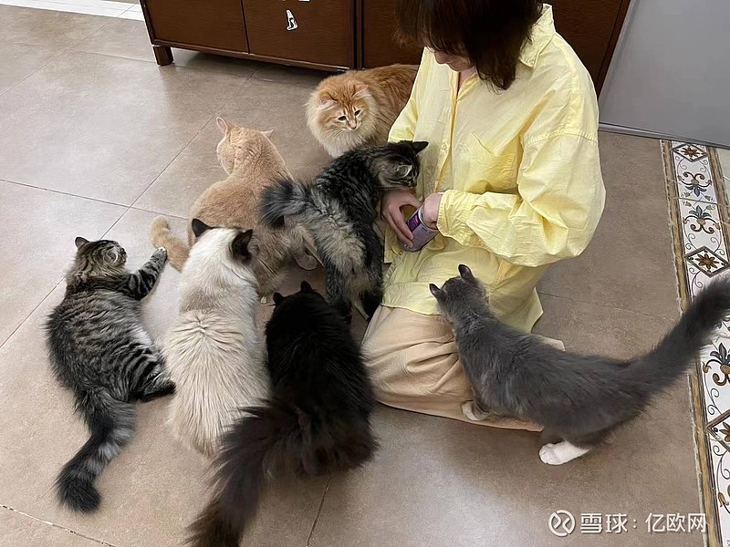 亿欧专访星期零创始人kiki做个实干的梦想家