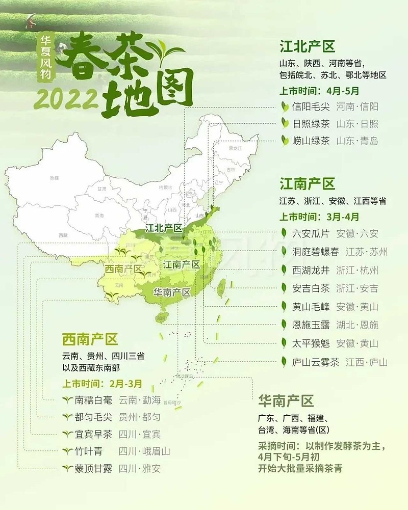 春茶地图云贵川已经开始了