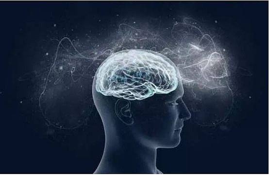 哲学从来不能离开感觉感知观念在哲学中的推理意义