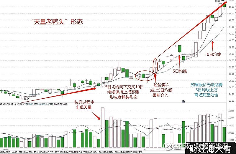 老鸭头macd形态图解图片