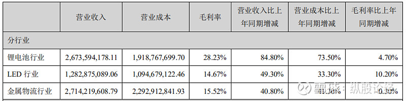 蔚蓝锂芯年报简析