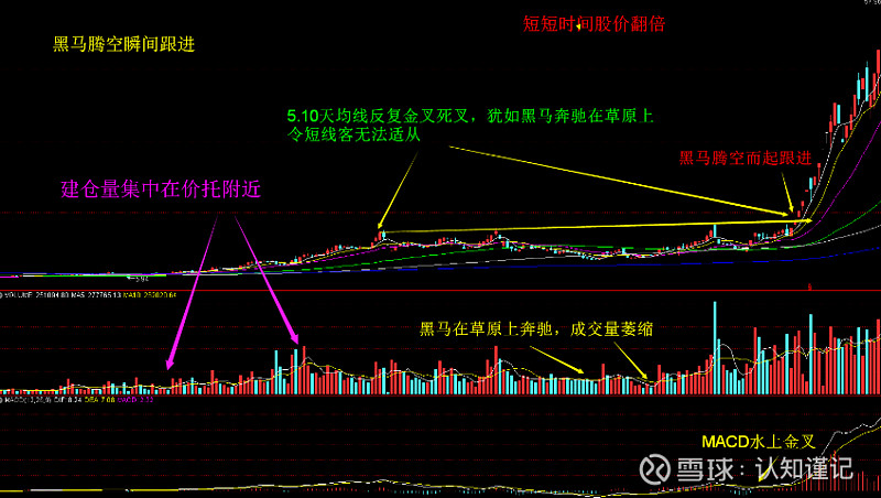 黑马草上飞战法 黑马草上飞图形特点 1