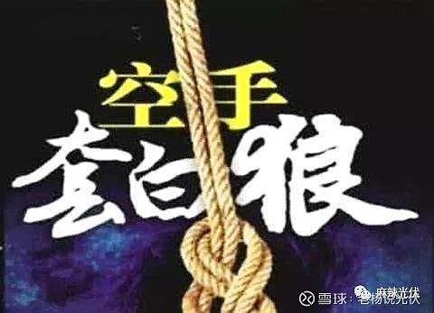 空手套白狼的天花板光伏圈中利集团来教您