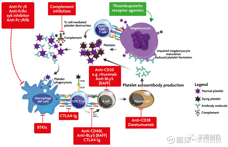超10年未有重大突破的ITP蓝海，Big Pharma/Biotech探索从未止步 ITP指原发性免疫性血小板减少症。ITP药物研发史中，最近 ...