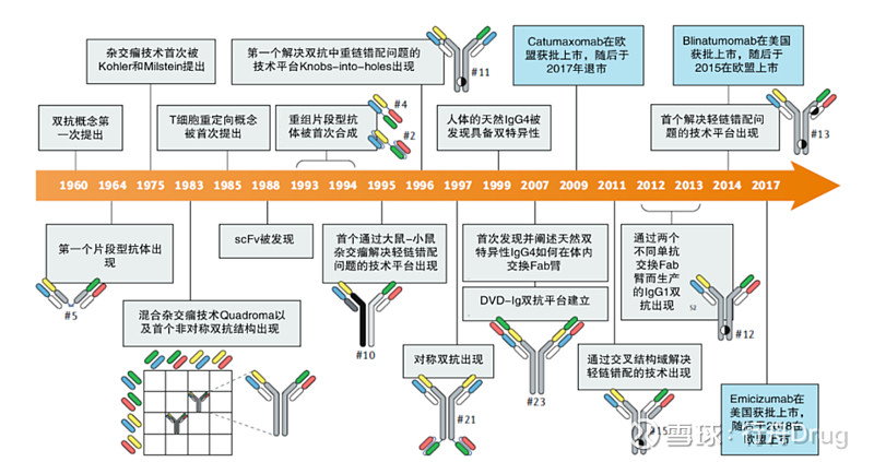 工艺大咖说 双抗生产与质控专场 点击上方的 行舟Drug 添加关注 1986年治疗性单克隆抗体首次实现商业化2009年全球首款双抗药物Remova 雪球