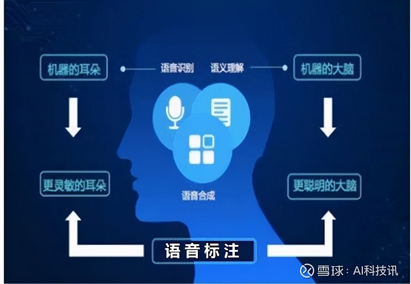 语音数据处理