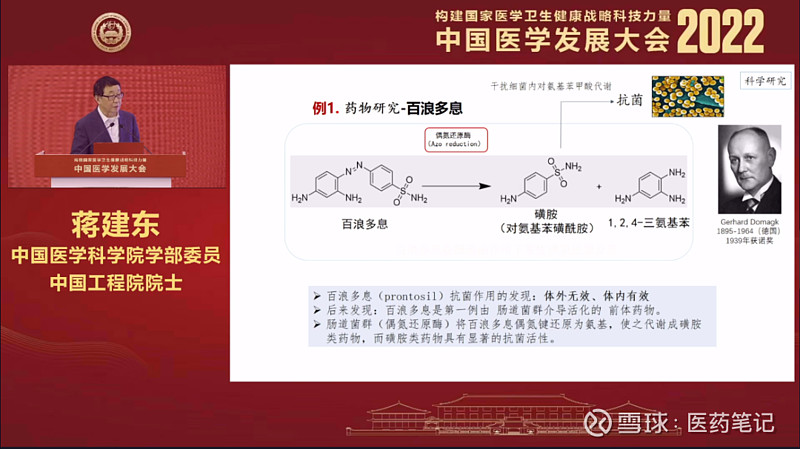 蒋建东教授举的第一个例子是百浪多息,即为一个典型的体外无效,体内