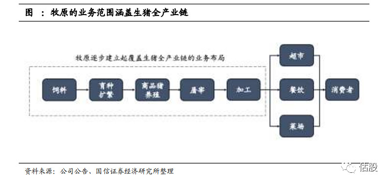 金陵酒店股票分析报告