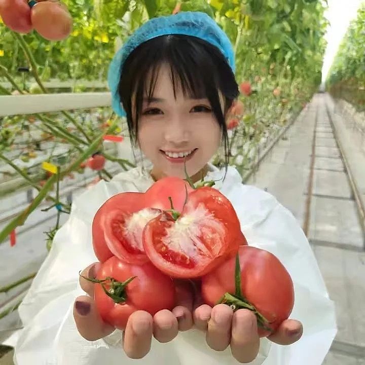 新消费人群带火网红西红柿