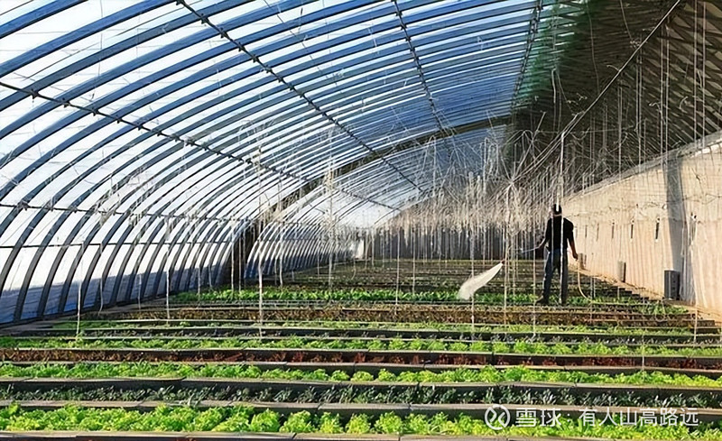 这7只农林牧渔细分龙头股收藏待翻倍