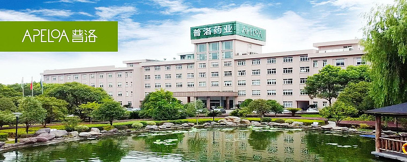 普洛药业资产负债表分析