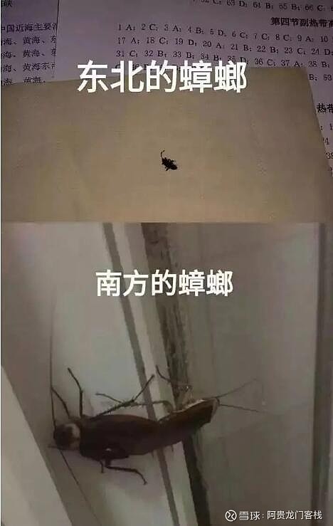 五一消灭小强计划