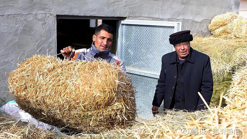 多人共赴铭文服务器盛宴-虎跃云资讯网