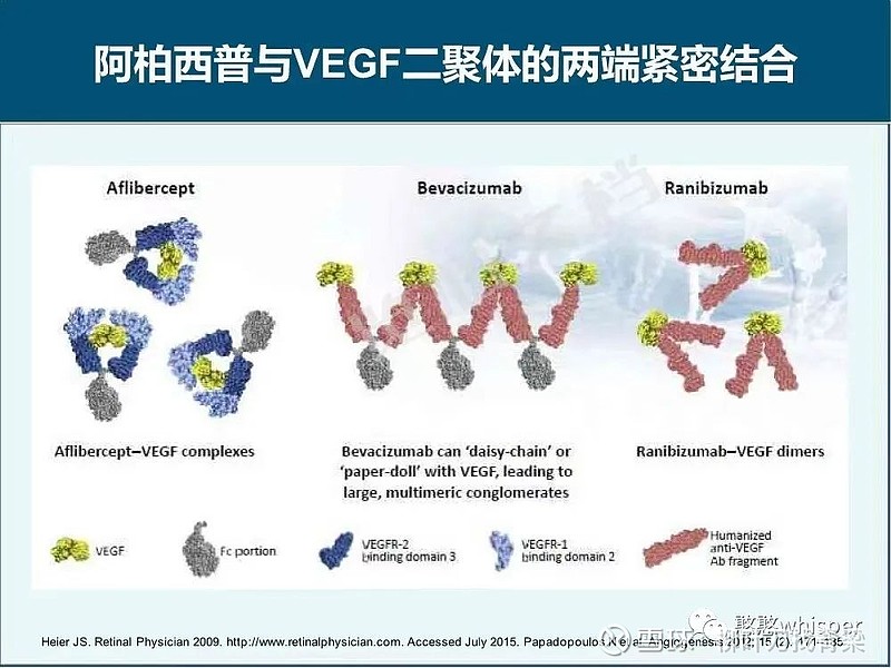 双特异性抗体——May the biology be with you 趁着上市的双抗还少，作为一个个人还能总结的动，另外已上市的双抗确实多数 ...
