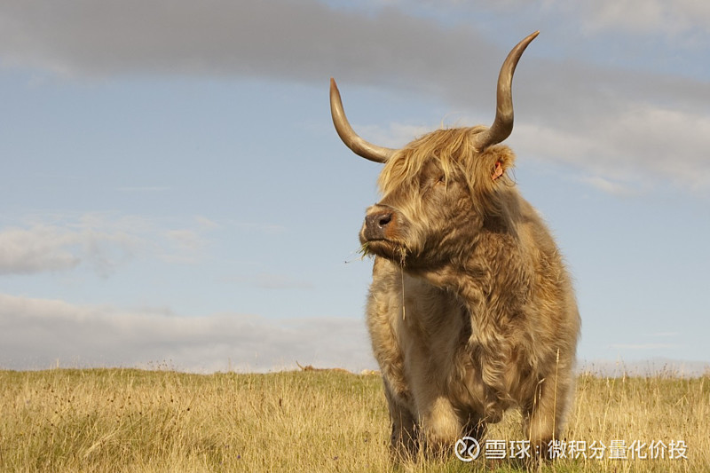 回答林森离职后的两个关键问题最近 传闻很久的 林森离职 终于官宣了 吃瓜也吃完了 现在有两个核心问题需要回答 现在 持有的林森管理的基金 要不要卖掉