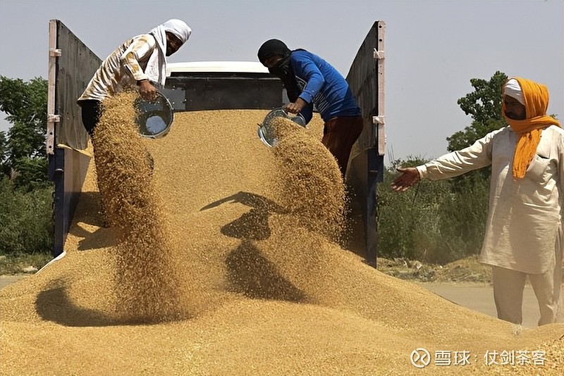 经济风暴下的失业困境：物价飙升，民众如何应对？