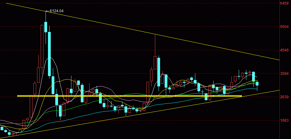 wu2198照片图片