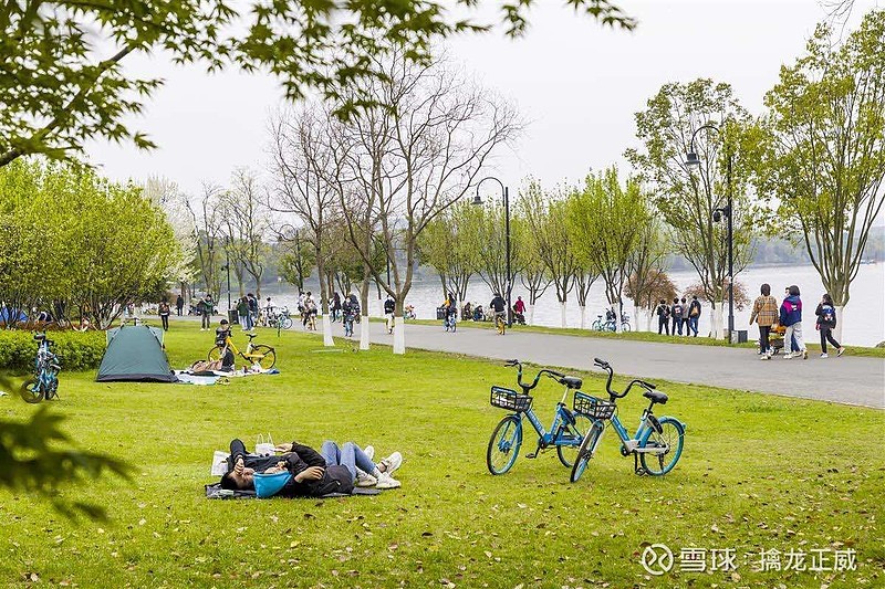 上海交通恢复，共享单车叠加露营