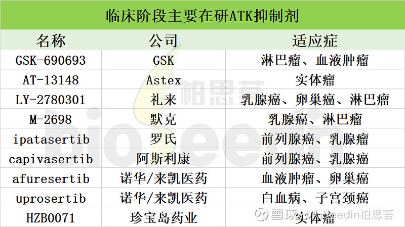 来凯医药完成3亿d轮融资小分子抑制剂仍然火热