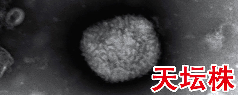 国药集团中国生物官微发布:“天坛株”、“牛痘免疫球蛋白”。 $天坛生物(SH600161)$ 官微发布时间:2022-05-22 20:29 ...