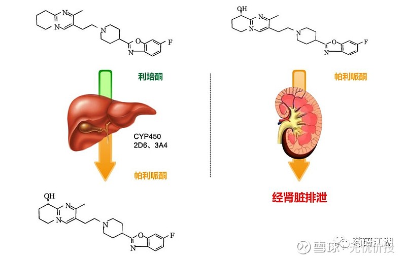 不同于利培酮主要通过cyp450酶系的2d6和3a4代谢,帕利哌酮59%以原型