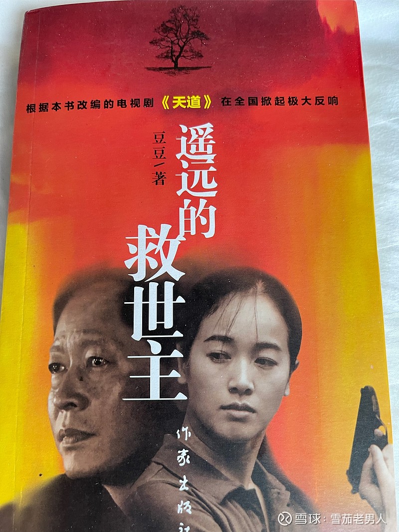 遥远的救世主作者豆豆