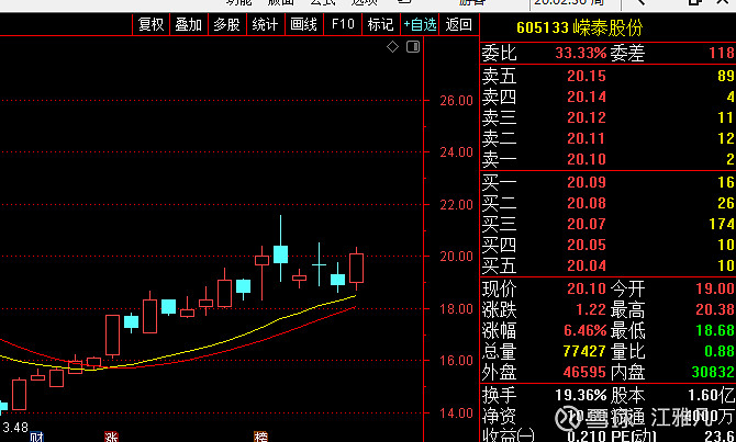 嵘泰股份(605133)