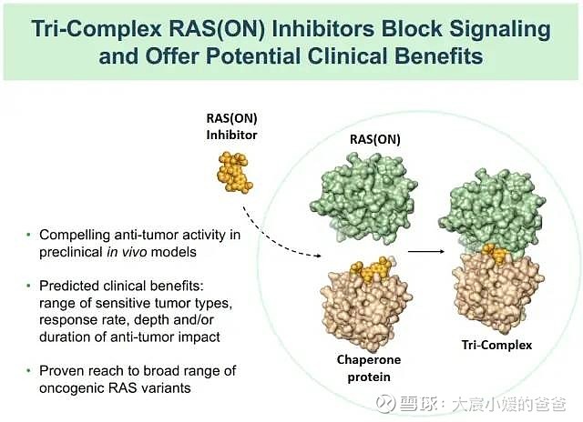 $加科思-B(01167)$ KRAS突变与肿瘤来源： 医药魔方KRAS突变和KRAS扩增在CRC（美国~45%，中国~... - 雪球