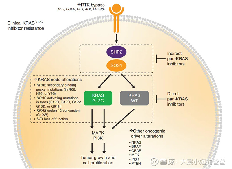 $加科思-B(01167)$ KRAS突变与肿瘤来源： 医药魔方KRAS突变和KRAS扩增在CRC（美国~45%，中国~... - 雪球