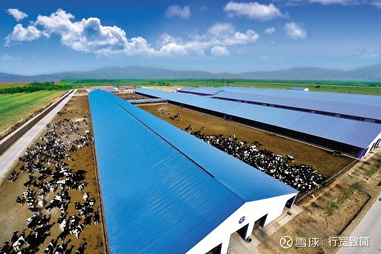 标准化,集约化养殖基地,全力支持伊利集团与宁夏农垦创建25万头奶牛