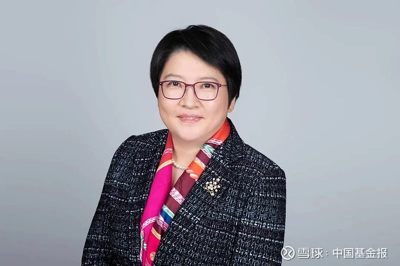 重磅专栏!南方东英总裁丁晨:资本市场开放桥头堡,空间广阔! 丁晨:南方东英总裁,香港中资基金业协会终身荣誉会长。 来源:南方东英 1997年至 ...