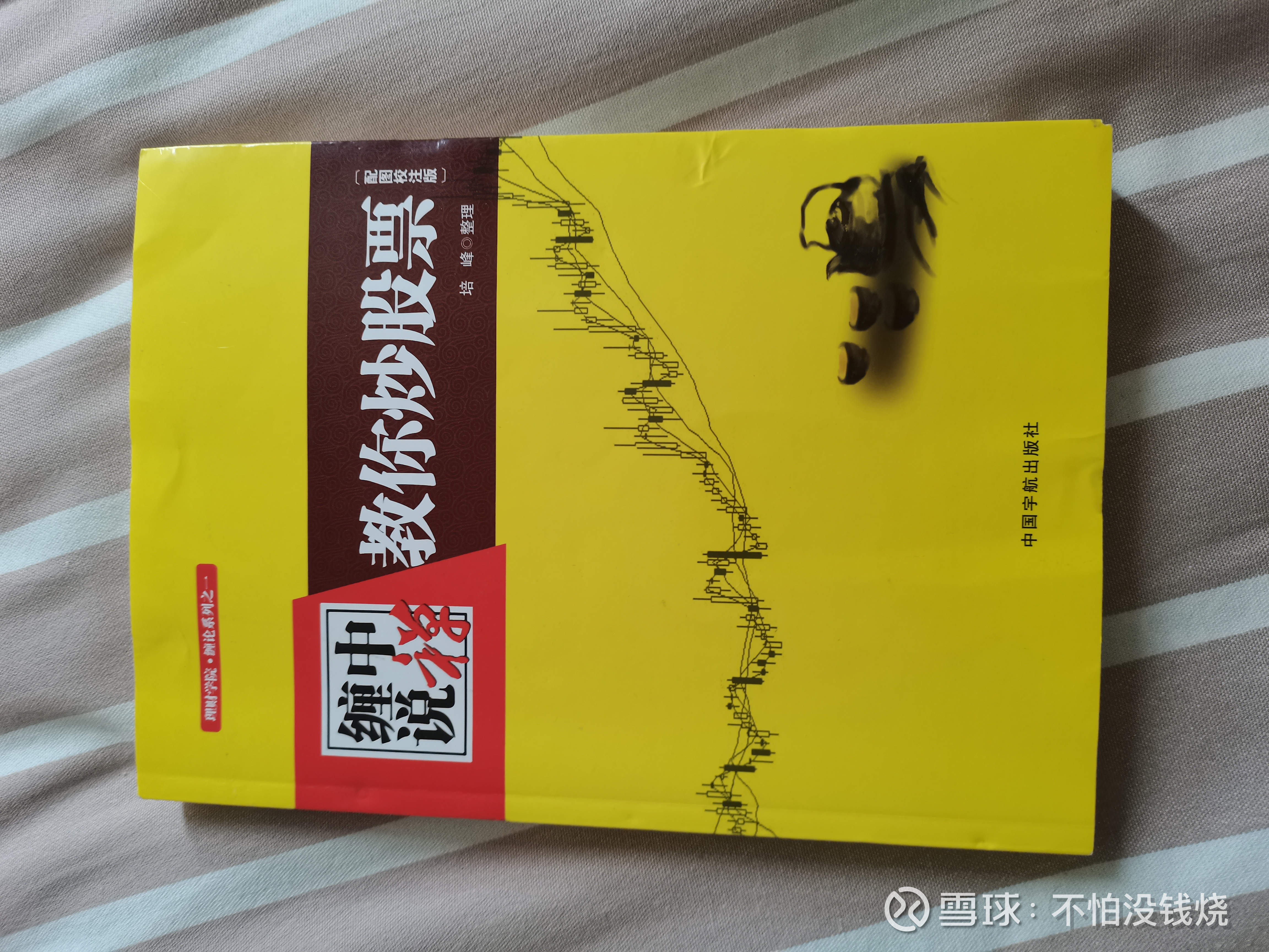 不怕游侠儿偷师缠宗不怕游侠儿，自记录以来，股市游历不足一载。偶得长夜几安指点，购入《日本蜡烛图技术》，《缠中说禅》二本经典秘籍。然《缠中说...