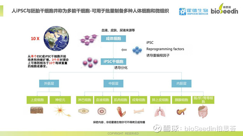 iPSC衍生细胞治疗产品的开发策略 01 商业前景当前细胞治疗产业化相对成功的产品是以CAR-T为代表的免疫细胞治疗。但是这些血液来源的免疫 ...