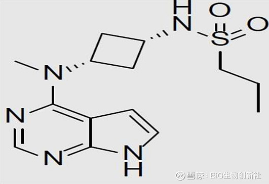 中重度特應性皮炎成人患者