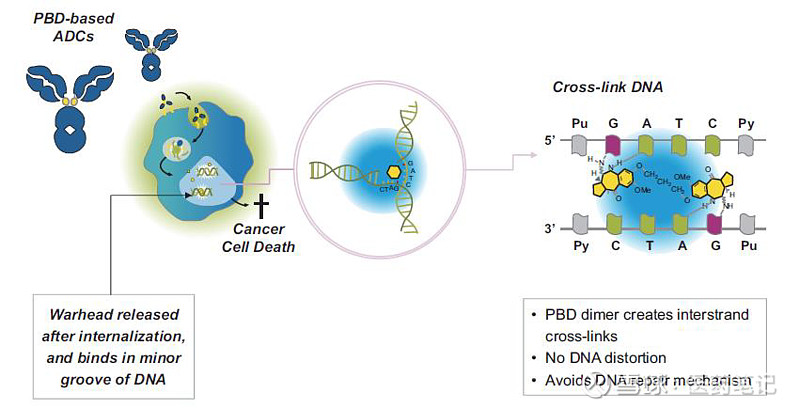 4.35亿美元：Sobi引进ADC Therapeutics的CD19 ADC新药 Armstrong 2022年7月8日，Sobi与 ADC ...