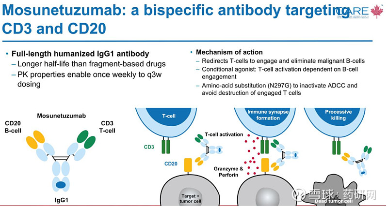 Cd20xcd3双抗梳理 近日，罗氏宣布fda已接受其cd20xcd3双抗mosunetuzumab（lunsumio®）治疗非霍奇金淋巴瘤的bl 雪球 8846