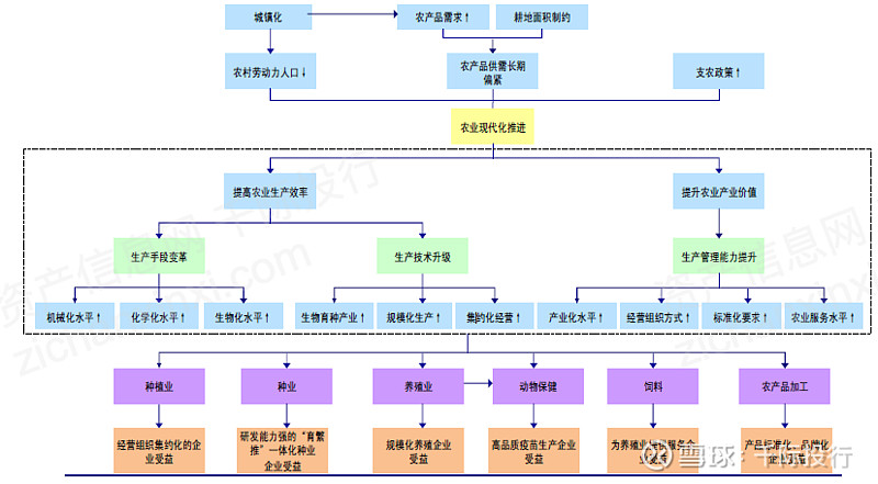 2021农开云真人业发展研究报告(图8)