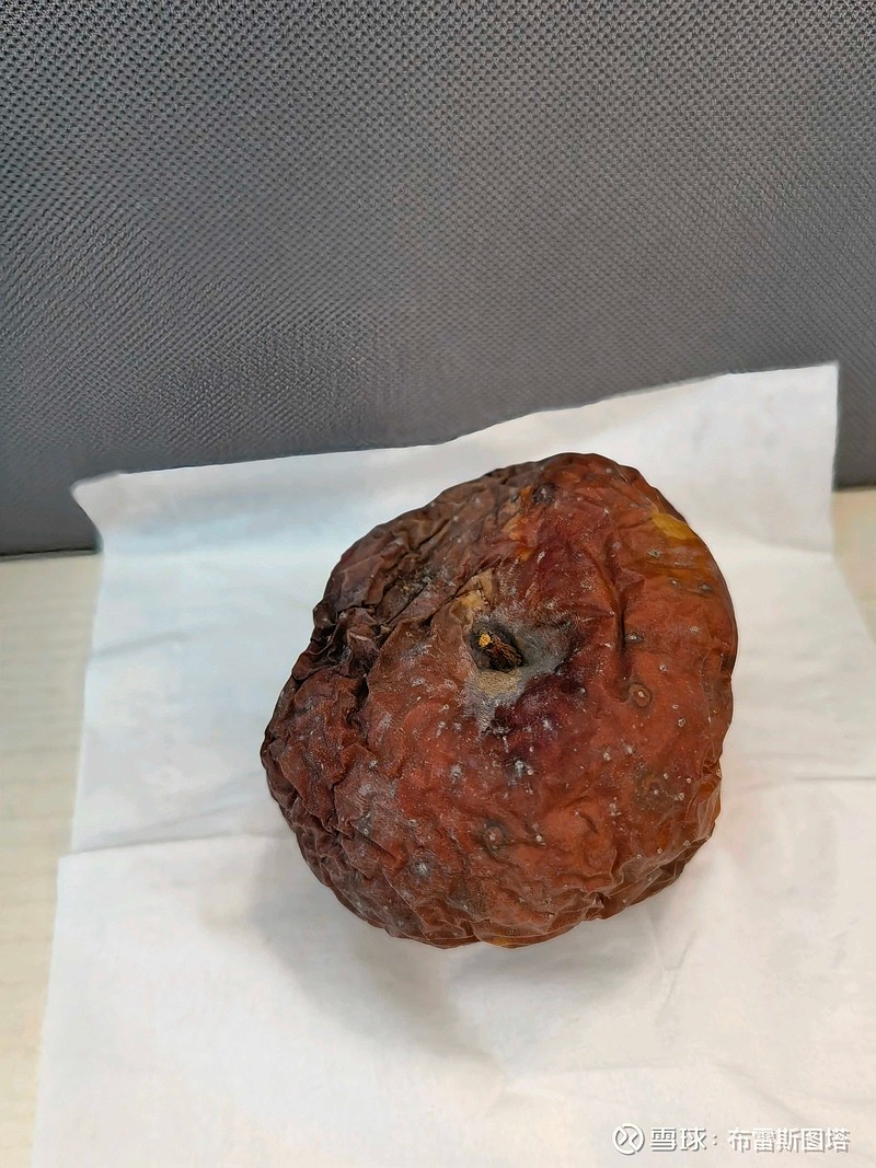 四个半月,自然风干的 苹果 木乃伊 - 雪球