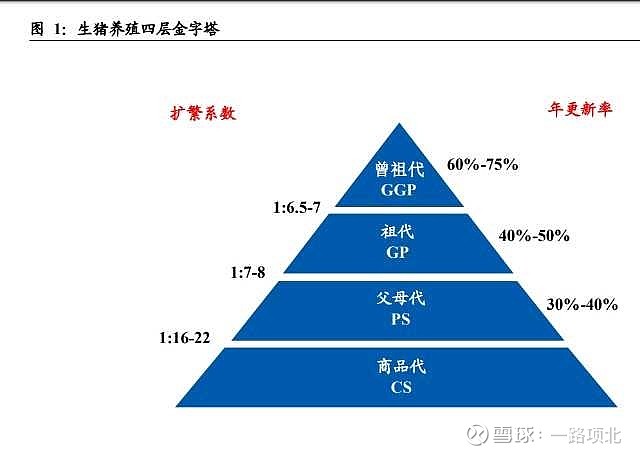 一文读懂养猪（上）——认识生猪养殖行业