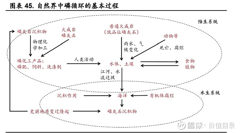 逃不掉左磷右锂42页