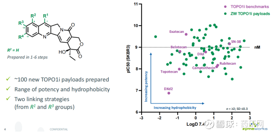 Zymeworks下一代ADC技术ADC平台TOP01i 下一代ADCTOP01i技术平台是今年